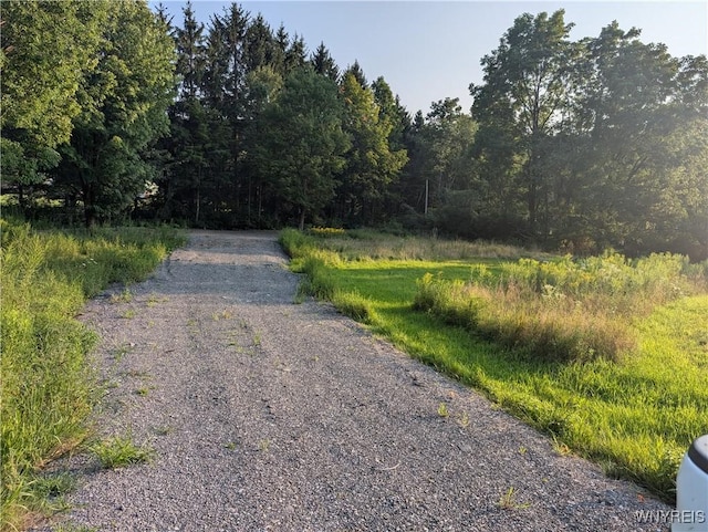 9152 Rte 219, Ashford, NY 14171