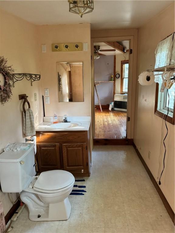 1356 Terry Clove Rd, Hamden, NY 13752 - bathroom featuring toilet, plenty of natural light, a ceiling fan, and vanity