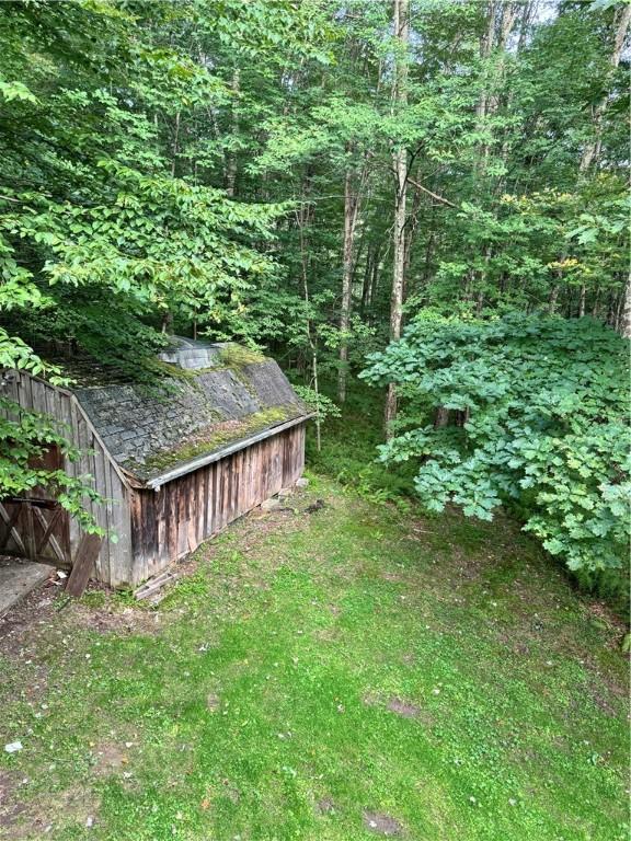 1356 Terry Clove Rd, Hamden, NY 13752 - view of yard with a wooded view
