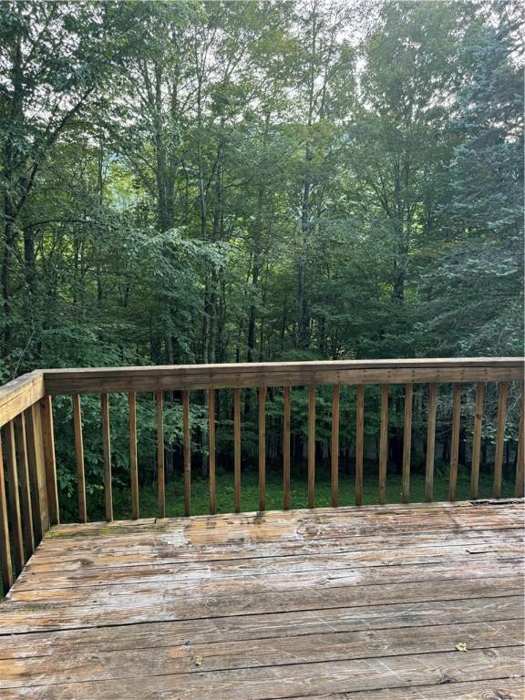 1356 Terry Clove Rd, Hamden, NY 13752 - view of wooden terrace