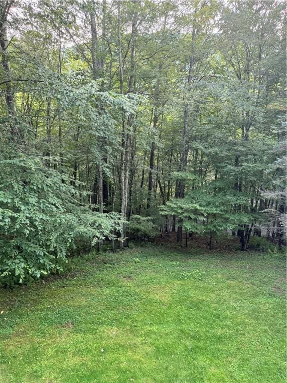1356 Terry Clove Rd, Hamden, NY 13752 - view of green lawn featuring a forest view