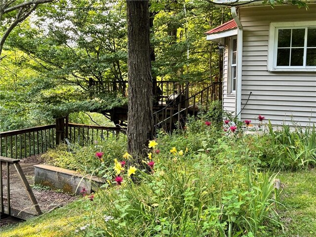 1356 Terry Clove Rd, Hamden, NY 13752 - view of yard