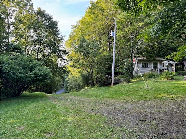 1356 Terry Clove Rd, Hamden, NY 13752 - view of grassy yard