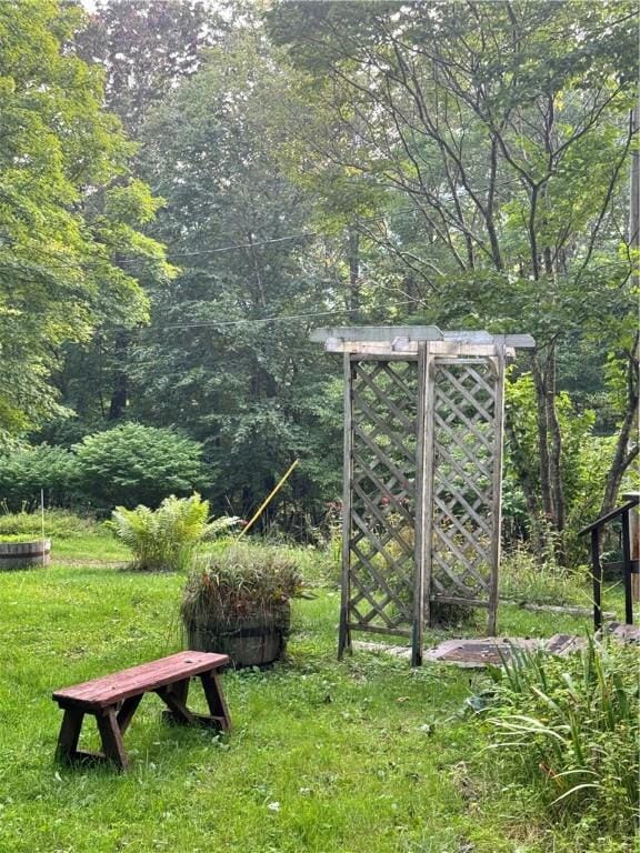 1356 Terry Clove Rd, Hamden, NY 13752 - view of yard featuring a gate