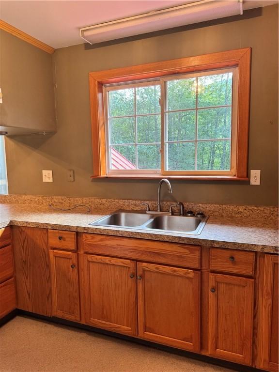 1356 Terry Clove Rd, Hamden, NY 13752 - kitchen featuring a sink, brown cabinets, light countertops, and crown molding