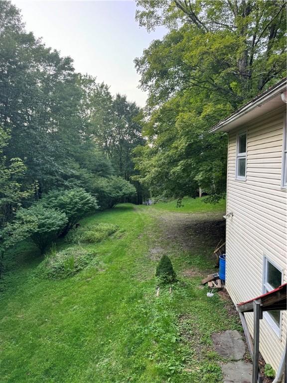 1356 Terry Clove Rd, Hamden, NY 13752 - view of green lawn