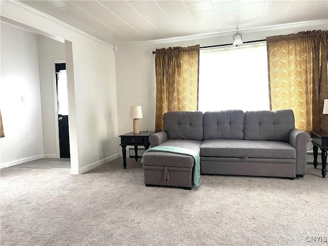 132 E Remington St, Rutland, NY 13612 - living area featuring crown molding, carpet floors, and baseboards