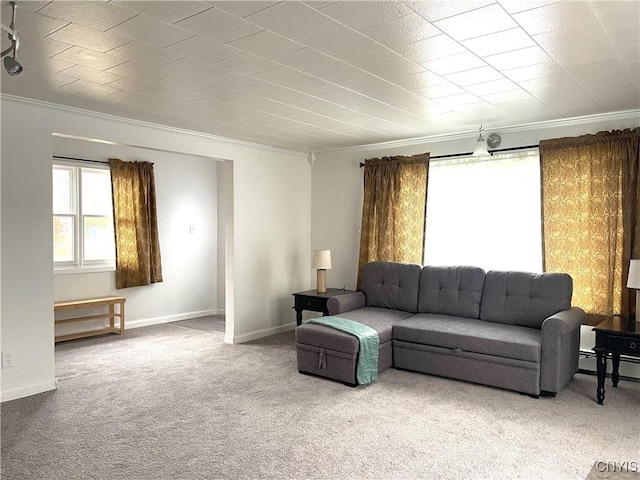 132 E Remington St, Rutland, NY 13612 - carpeted living area with crown molding and baseboards