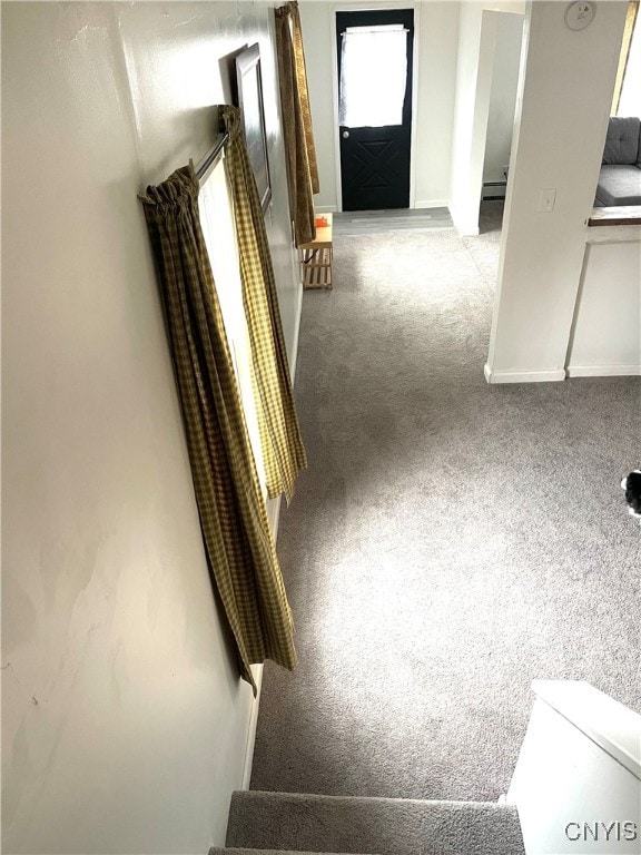 corridor with carpet flooring