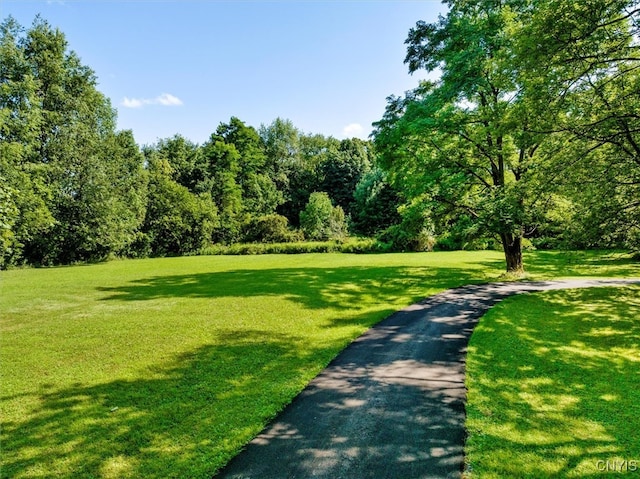 view of community featuring a yard