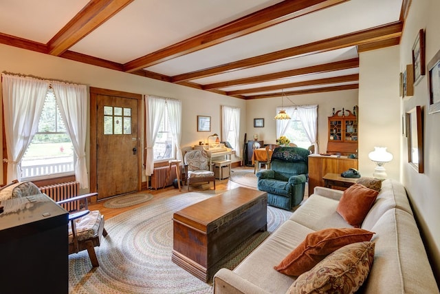 living room featuring beamed ceiling, a wealth of natural light, light wood-type flooring, and radiator