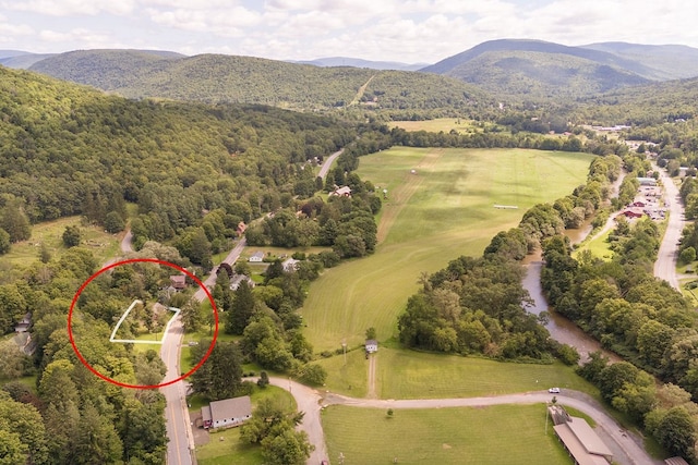 birds eye view of property with a mountain view