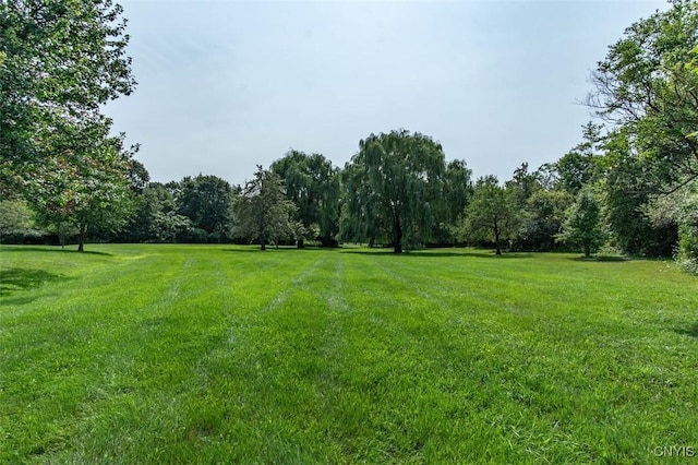 27454 County Route 57, Lyme, NY 13693 - view of green lawn with a forest view