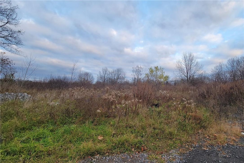 4532 Lake Ridge Dr, Gorham, NY 14424 - photo 2
