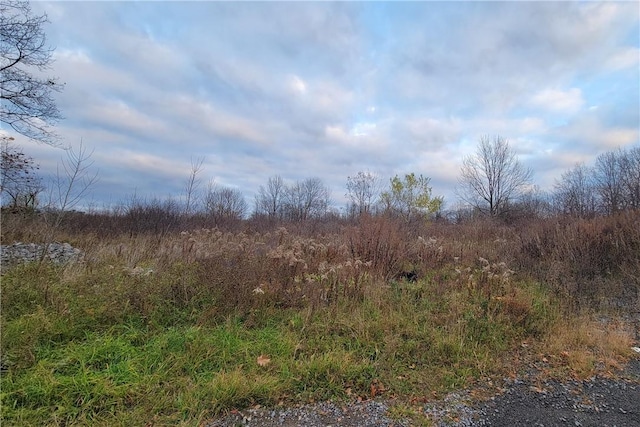 4532 Lake Ridge Dr, Gorham, NY 14424 - photo 2