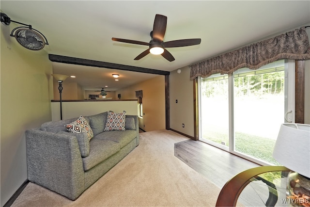 carpeted living room featuring ceiling fan and a wealth of natural light