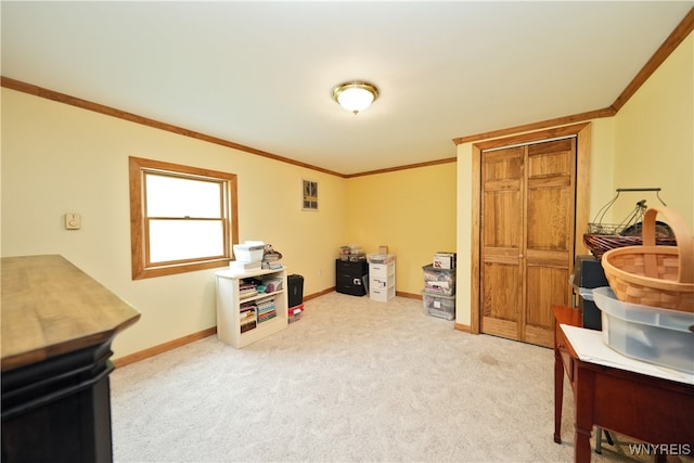 interior space with light colored carpet and ornamental molding