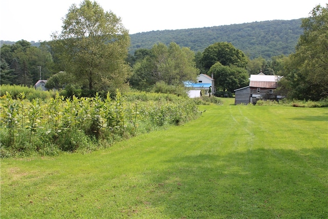 view of yard with a rural view and a mountain view