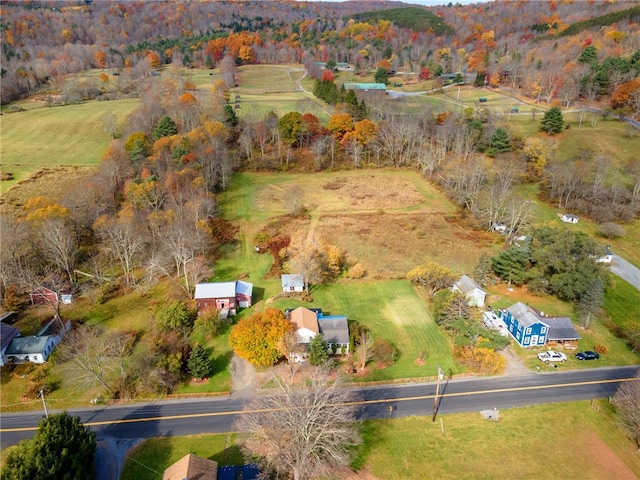 bird's eye view