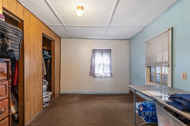 interior space with wood walls and dark colored carpet