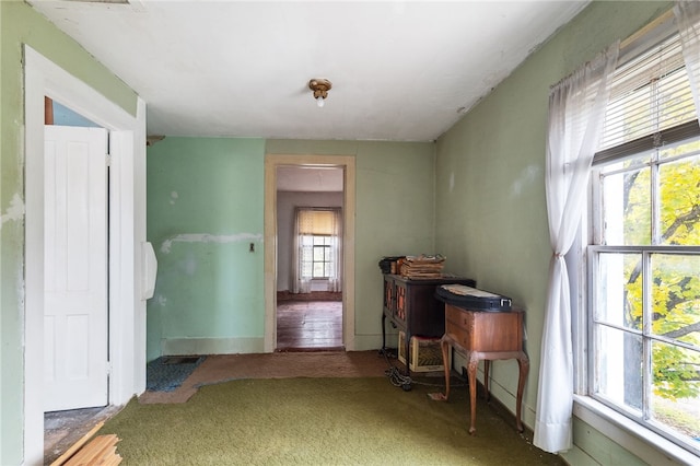 1793 County Highway 9, Davenport, NY 12197 - hall featuring carpet flooring