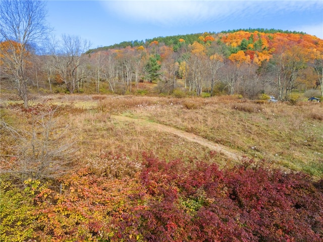 1793 County Highway 9, Davenport, NY 12197 - view of woods