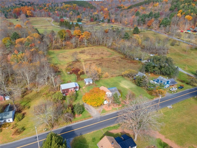 1793 County Highway 9, Davenport, NY 12197 - aerial view