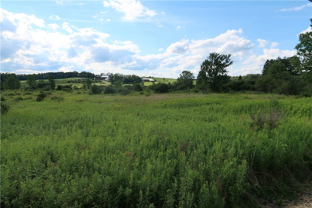 LOT2 German Rd, Willet NY, 13863 land for sale