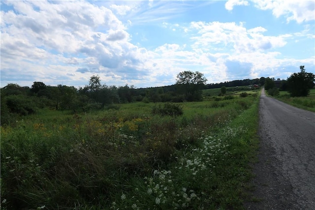 LOT2 German Rd, Willet, NY 13863 - photo 2