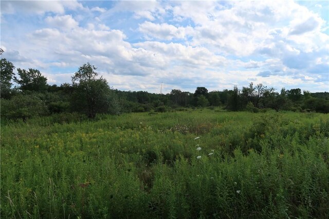 LOT2 German Rd, Willet, NY 13863 - photo 3