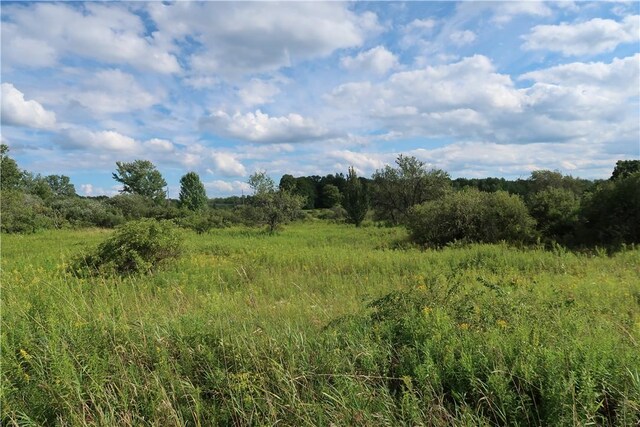 LOT2 German Rd, Willet, NY 13863 - photo 4
