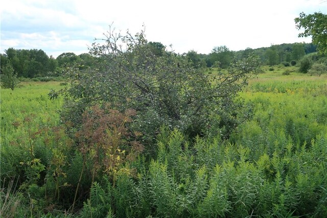 LOT2 German Rd, Willet, NY 13863 - photo 8