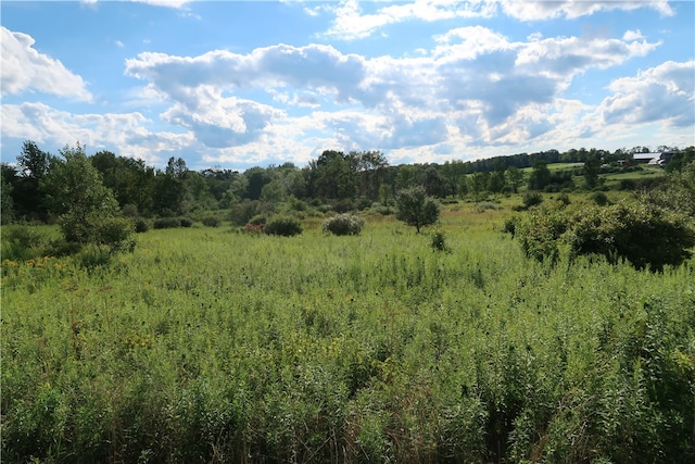 LOT3 German Rd, Willet NY, 13863 land for sale