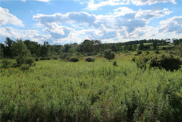 LOT3 German Rd, Willet, NY 13863 - photo 1