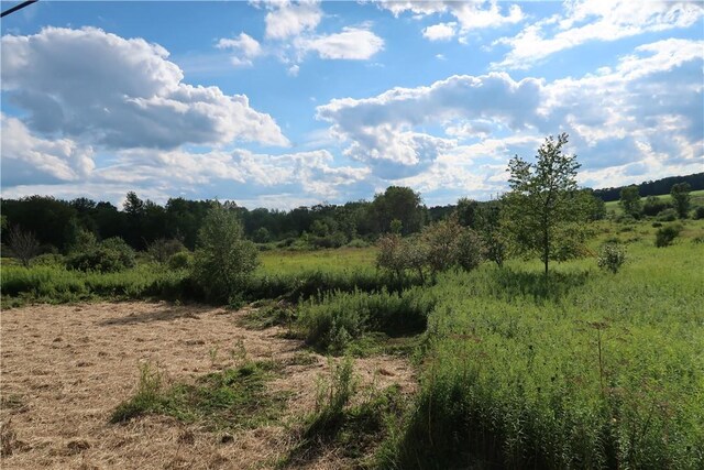 LOT3 German Rd, Willet, NY 13863 - photo 4