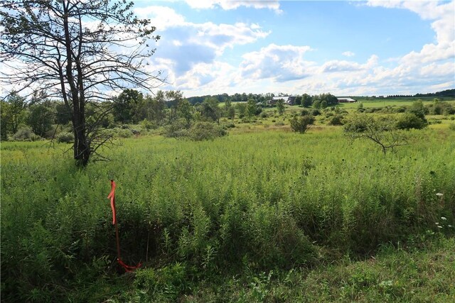 LOT3 German Rd, Willet, NY 13863 - photo 5