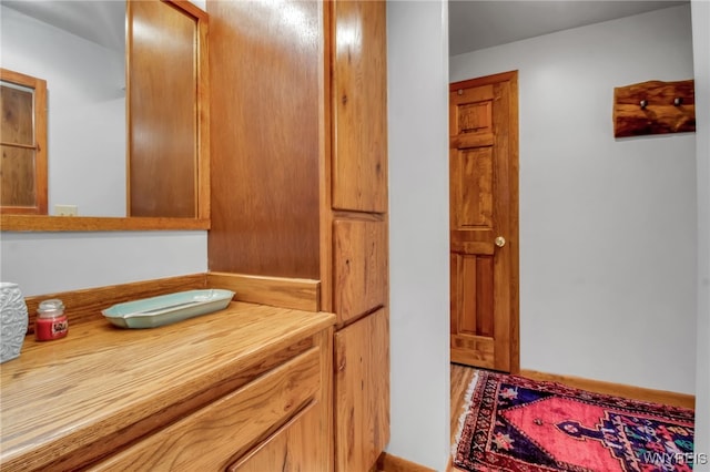 bathroom featuring hardwood / wood-style floors