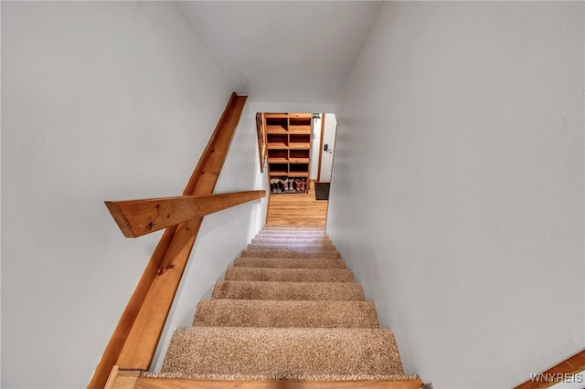 staircase with hardwood / wood-style flooring