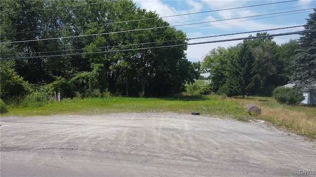 0 Pendleton St, Cortland NY, 13045 land for sale