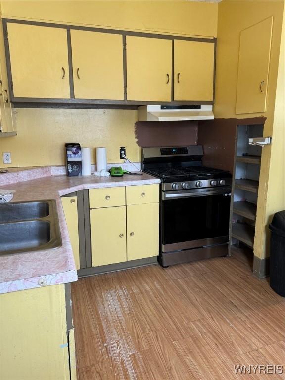 kitchen with light hardwood / wood-style floors, sink, and stainless steel gas range