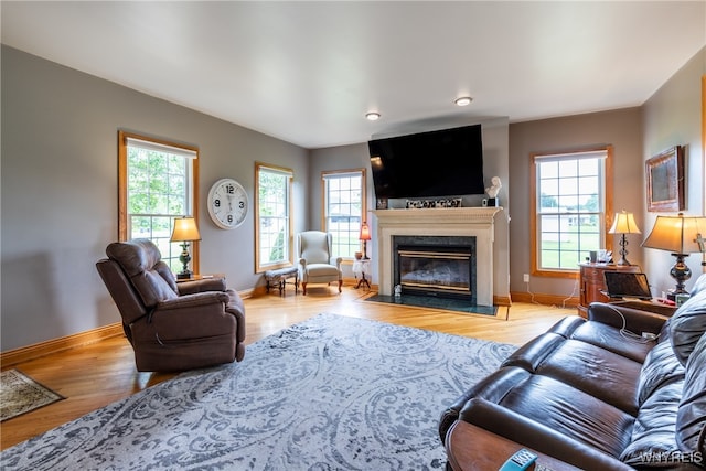 living room featuring a fireplace, a healthy amount of sunlight, and light wood-type flooring