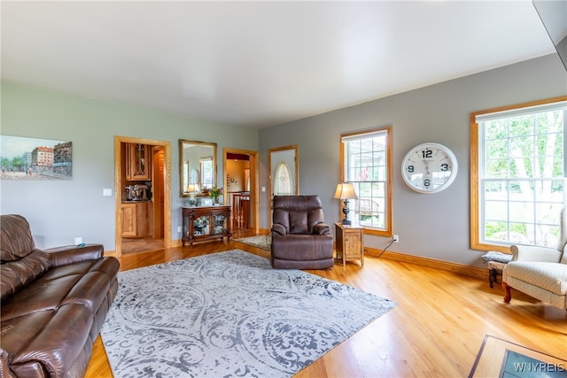 living room with light hardwood / wood-style floors and a healthy amount of sunlight