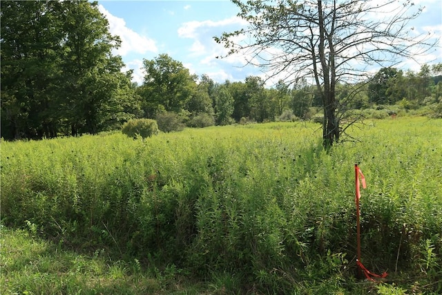 LOT4 German Rd, Willet, NY 13863 - photo 1