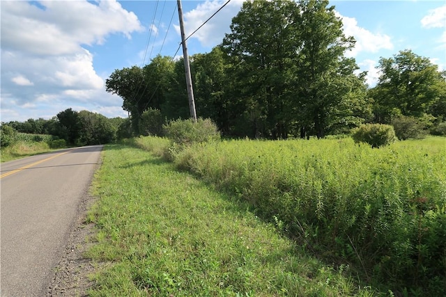 LOT4 German Rd, Willet, NY 13863 - photo 2