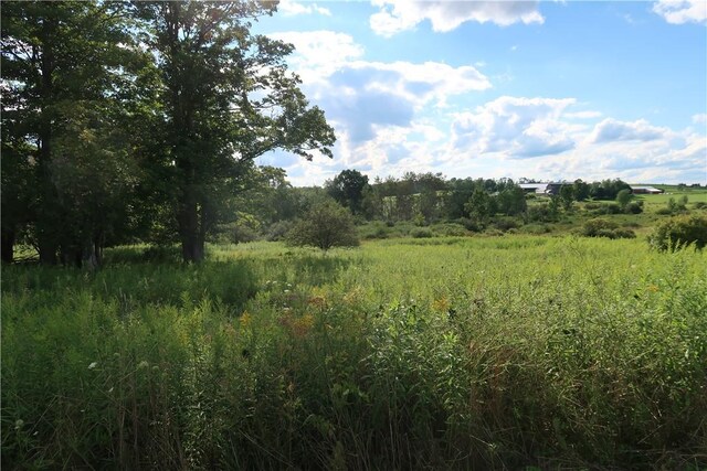 LOT4 German Rd, Willet, NY 13863 - photo 4
