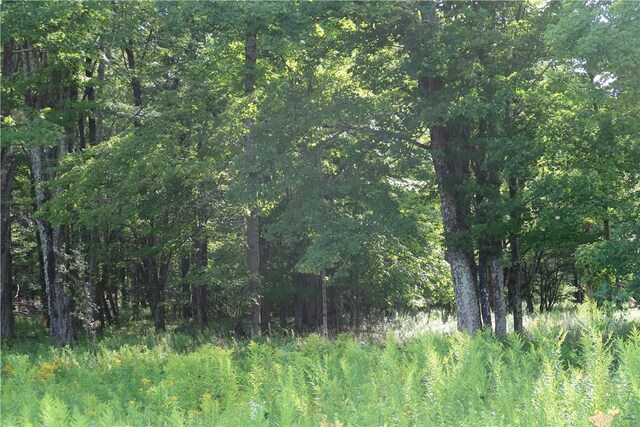 LOT4 German Rd, Willet, NY 13863 - photo 5