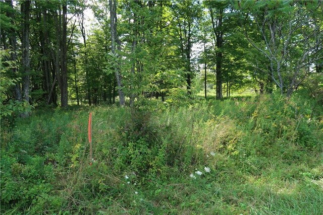 LOT4 German Rd, Willet, NY 13863 - photo 6