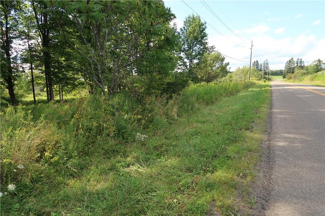 LOT4 German Rd, Willet, NY 13863 - photo 7