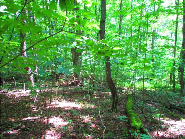 0 Todd Rd, Hartwick NY, 13326 land for sale