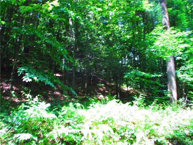 Listing photo 3 for 0 Todd Rd, Hartwick NY 13326